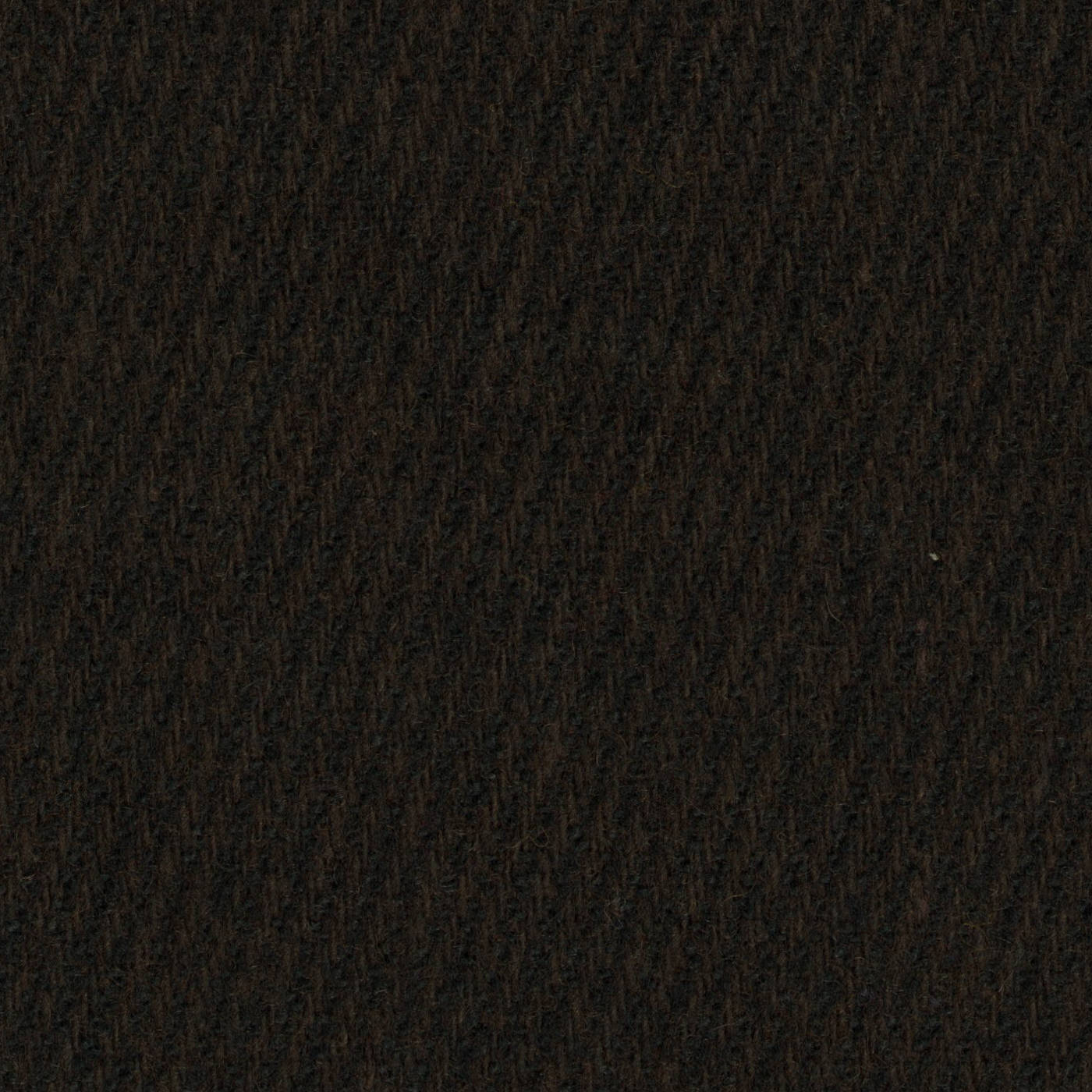 WARM LIGHT ブラウンカルゼステンカラーコート | FABRIC TOKYO
