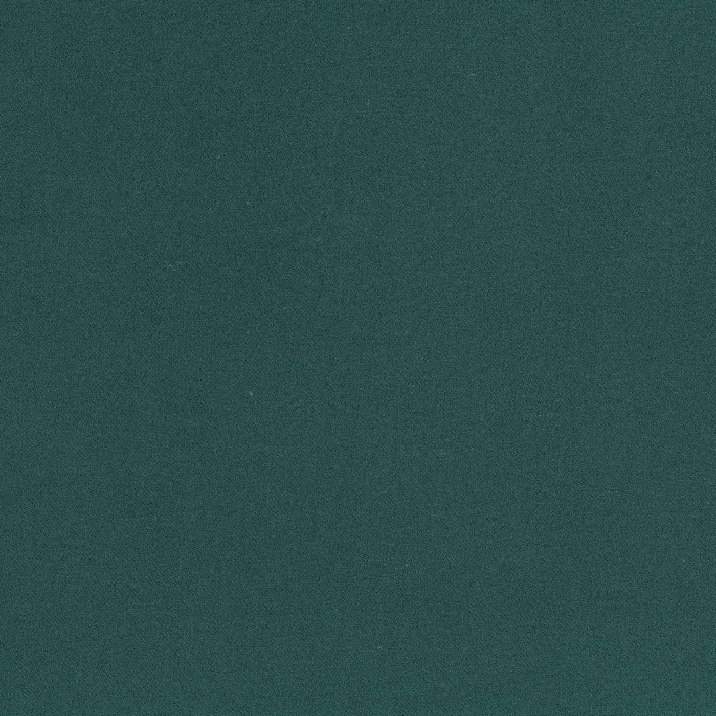 STRETCH MOLESKIN ブルーグリーンモールスキンビジネス
